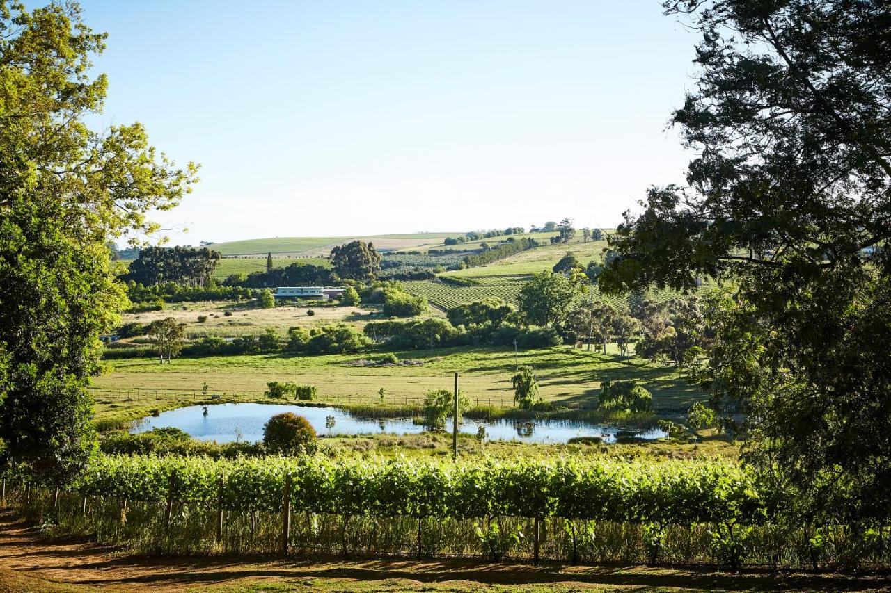The Devon Valley Hotel Стелленбос Экстерьер фото